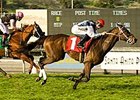 Ten Meropa cruised home a 12-1 surprise winner in the Baldwin (gr.IIIT) March 2 at Santa Anita.<br><a target="blank" href="http://www.bloodhorse.com/horse-racing/photo-store?ref=http%3A%2F%2Fpictopia.com%2Fperl%2Fgal%3Fprovider_id%3D368%26ptp_photo_id%3D3741919%26ref%3Dstory">Order This Photo</a>