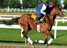 Hotep will break from post 11 of the 13-horse field in the Queen's Plate.