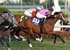 Graded Stakes Winner Silver Medallion Retired Graded Stakes Winner Silver Medallion Retired