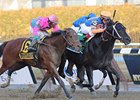 Calibrachoa holds off Caleb's Posse to win the Tom Fool Handicap.<br><a target="blank" href="http://www.bloodhorse.com/horse-racing/photo-store?ref=http%3A%2F%2Fpictopia.com%2Fperl%2Fgal%3Fprovider_id%3D368%26ptp_photo_id%3D9822829%26ref%3Dstory">Order This Photo</a>