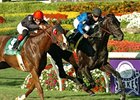Einstein is one of the horses to beat in the Arlington Million.<br><a target="blank" href="http://www.bloodhorse.com/horse-racing/photo-store?ref=http%3A%2F%2Fpictopia.com%2Fperl%2Fgal%3Fprovider_id%3D368%26ptp_photo_id%3D3655479%26ref%3Dstory">Order This Photo</a>