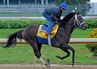 Soldat at Churchill Downs.
<br><a target="blank" href="http://www.bloodhorse.com/horse-racing/photo-store?ref=http%3A%2F%2Fpictopia.com%2Fperl%2Fgal%3Fprovider_id%3D368%26ptp_photo_id%3D9513770%26ref%3Dstory">Order This Photo</a>