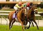 Foxysox Grinds Out Tuzla Handicap Win Foxysox Grinds Out Tuzla Handicap Win