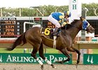 Coragil Cat Springs Hanshin Cup Surprise Coragil Cat Springs Hanshin Cup Surprise