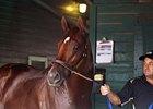 Coil Works a Mile at Santa Anita Coil Works a Mile at Santa Anita