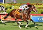 Mshawish will try the dirt again in the Hal's Hope Stakes.<br><a target="blank" href="http://photos.bloodhorse.com/AtTheRaces-1/At-the-Races-2014/i-9CsTdP2">Order This Photo</a>