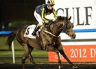 Krypton Factor flies home in the Dubai Golden Shaheen.