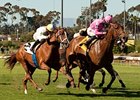 Capital Plan wins the Beverly Hills Handicap.