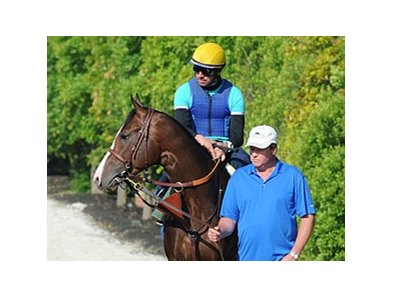 Bodemeister
<br><a target="blank" href="http://photos.bloodhorse.com/TripleCrown/2012-Triple-Crown/Preakness-Stakes-137/23013252_TrG3NS#!i=1852402147&k=t5nTLDv">Order This Photo</a>