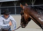 Chip Woolley and Mine That Bird<br><a target="blank" href="http://www.bloodhorse.com/horse-racing/photo-store?ref=http%3A%2F%2Fpictopia.com%2Fperl%2Fgal%3Fprovider_id%3D368%26ptp_photo_id%3D8185221%26ref%3Dstory">Order This Photo</a>