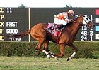 W. L. McKnight Handicap winner Presious Passion hopes to rebound in the Mac Diarmida after a disappointing ninth in the Sunshine Millions Turf.