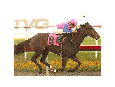 Home Journey is a perfect 2 for 2 in her young career.