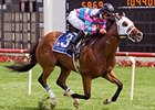 Chamberlain Bridge takes on 11 rivals in the Twin Spires Turf Sprint.