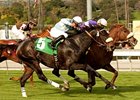 Spring Style Surprises Slim Frankel Field Spring Style Surprises Slim Frankel Field