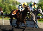 Original Script finished third in the Woodbine Oaks on June 9.