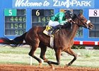 On Down the Road wins the New Mexico Classic Cup Champion Stakes.