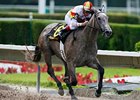 Undefeated Indyanne Romps in Azalea Undefeated Indyanne Romps in Azalea