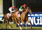 Animal Kingdom<br><a target="blank" href="http://photos.bloodhorse.com/AtTheRaces-1/at-the-races-2013/27257665_QgCqdh#!i=2432872341&k=WbdBgK7">Order This Photo</a>