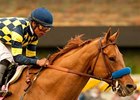 Grade I Winner Misremembered Retired Grade I Winner Misremembered Retired