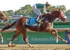 Pure Clan won a pair of graded races at Churchill Downs last fall.