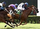 Sweet Little Lion holds them off late to win the Hollywood Wildcat Stakes.