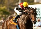 Marketing Mix won the 2013 Gamely Stakes.