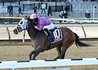 Storied Lady won the Bay Ridge Stakes on Dec. 31 at Aqueduct.<br><a target="blank" href="http://photos.bloodhorse.com/AtTheRaces-1/At-the-Races-2014/i-hM6z4r6">Order This Photo</a>