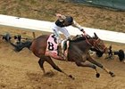 Mine That Bird Headed to the Preakness Mine That Bird Headed to the Preakness