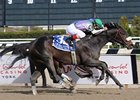 J J's Lucky Train catches Vengeful Wildcat to win the Bay Shore Stakes.<br><a target="blank" href="http://www.bloodhorse.com/horse-racing/photo-store?ref=http%3A%2F%2Fpictopia.com%2Fperl%2Fgal%3Fprovider_id%3D368%26ptp_photo_id%3D9484132%26ref%3Dstory">Order This Photo</a>