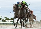 Imperial Czar (inside) holds off Numb Lips to win the Miami Mile Handicap.