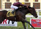 Easter Gift
<br><a target="blank" href="http://photos.bloodhorse.com/AtTheRaces-1/At-the-races-2013/i-FvSsGRN">Order This Photo</a>