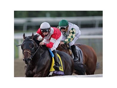 Fort Larned
<br><a target="blank" href="http://photos.bloodhorse.com/BreedersCup/2012-Breeders-Cup/Classic/26128658_j8xsjs#!i=2193297292&k=QqvKxZH">Order This Photo</a>