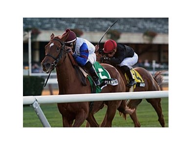 Pianist leads the way to victory in the Athenia.<br><a target="blank" href="http://photos.bloodhorse.com/AtTheRaces-1/at-the-races-2013/27257665_QgCqdh#!i=2828320625&k=Vr4v2Rz">Order This Photo</a>