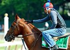 Animal Kingdom is the morning-line favorite for the Belmont.<br><a target="blank" href="http://www.bloodhorse.com/horse-racing/photo-store?ref=http%3A%2F%2Fpictopia.com%2Fperl%2Fgal%3Fprovider_id%3D368%26ptp_photo_id%3D9558378%26ref%3Dstory">Order This Photo</a>