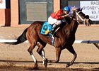 La Sorpresa took the award for top older mare.