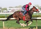 Recapturetheglory will miss the Preakness due to a fever.