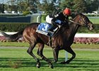 Boisterous carries top weight of 124 pounds in the River City Handicap.<br><a target="blank" href="http://photos.bloodhorse.com/AtTheRaces-1/at-the-races-2012/22274956_jFd5jM#!i=2147680031&k=sMbtnRf">Order This Photo</a>