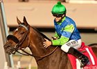 Featured Horse Profile: Include Me Out Featured Horse Profile: Include Me Out