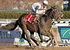 The Fountain of Youth features a number of leading Derby contenders, including Remsen winner Court Vision.<br><a target="blank" href="http://www.bloodhorse.com/horse-racing/photo-store?ref=http%3A%2F%2Fpictopia.com%2Fperl%2Fgal%3Fprovider_id%3D368%26ptp_photo_id%3D2859610%26ref%3Dstory">Order This Photo</a>