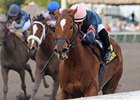 Golden Mystery Back With Wolfson After Sale Golden Mystery Back With Wolfson After Sale