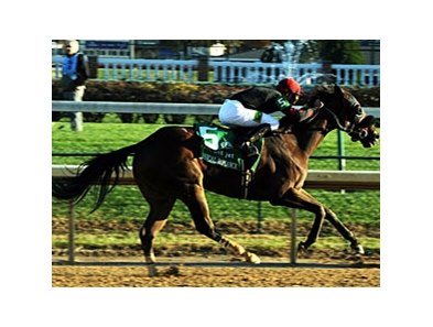 Musical Romance in the Breeders' Cup Filly and Mare Sprint.
<br><a target="blank" href="http://www.bloodhorse.com/horse-racing/photo-store?ref=http%3A%2F%2Fpictopia.com%2Fperl%2Fgal%3Fprovider_id%3D368%26ptp_photo_id%3D9728878%26ref%3Dstory">Order This Photo</a>