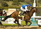 Synthetic track standout In Summation heads the $150,000 Palos Verdes Handicap.<br><a target="blank" href="http://www.bloodhorse.com/horse-racing/photo-store?ref=http%3A%2F%2Fpictopia.com%2Fperl%2Fgal%3Fprovider_id%3D368%26ptp_photo_id%3D3182652%26ref%3Dstory">Order This Photo</a>