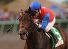 It's a Bird leads a veteran field in the Lone Star Park Handicap.<br><a target="blank" href="http://www.bloodhorse.com/horse-racing/photo-store?ref=http%3A%2F%2Fpictopia.com%2Fperl%2Fgal%3Fprovider_id%3D368%26ptp_photo_id%3D7535748%26ref%3Dstory">Order This Photo</a>