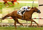 Sidney's Candy won the La Jolla on the turf at Del Mar last August.<br><a target="blank" href="http://www.bloodhorse.com/horse-racing/photo-store?ref=http%3A%2F%2Fpictopia.com%2Fperl%2Fgal%3Fprovider_id%3D368%26ptp_photo_id%3D9145494%26ref%3Dstory">Order This Photo</a>
