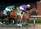 Wild Gams, 2008 New Jersey-bred Horse of the Year