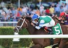 Peace Preserver comes on late to win the Noble Damsel Stakes.
<br><a target="blank" href="http://photos.bloodhorse.com/AtTheRaces-1/at-the-races-2013/27257665_QgCqdh#!i=2765539043&k=83TQq7x">Order This Photo</a>