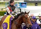 Texas Red
<br><a target="blank" href="http://photos.bloodhorse.com/BreedersCup/2014-Breeders-Cup/Juvenile/i-pfFwVfd">Order This Photo</a>