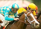 Icy Atlantic leads the field for the Cliff Hanger Stakes.