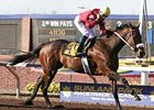 Peppers Pride won her 15th consecutive race March 23, capturing the $100,000 Sydney Valentini Handicap at Sunland Park.