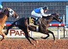 Forest Mouse wins the Zia Park Distance Championship Handicap.